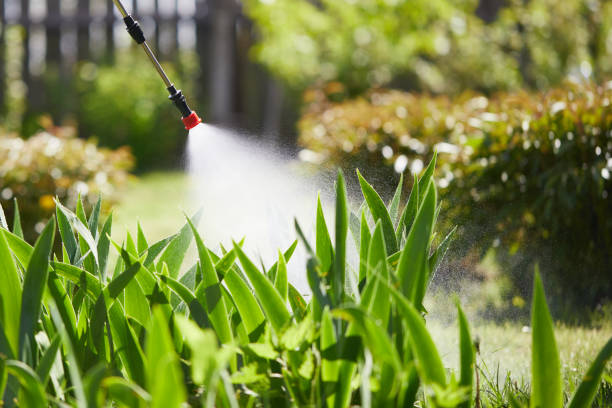 Void Injection for Cockroach Colonies in Augusta