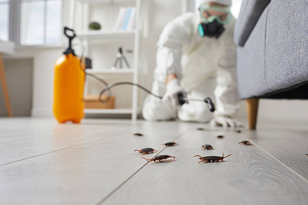 Commercial Kitchen Cockroach Control in Augusta